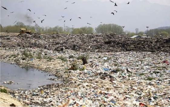 NGT Seeks Detailed Status Report on Achan Landfill: Can Srinagar Finally End Its Legacy Waste Crisis?