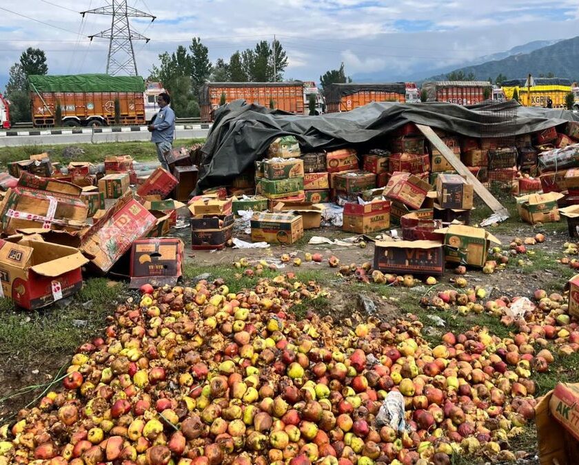 Green Corridor for Kashmir's Apple Trucks: Can It Save the Valley's ₹12,000-Crore Fruit Economy?