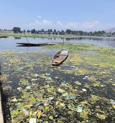 Manasbal Lake Pollution Crisis: Sewage, Faecal Contamination and a Growing Threat to Kashmir’s Wetland