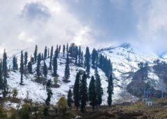 Kashmir Weather Shift: First Snowfall Hits Gulmarg, Gurez Amid Valley Rain