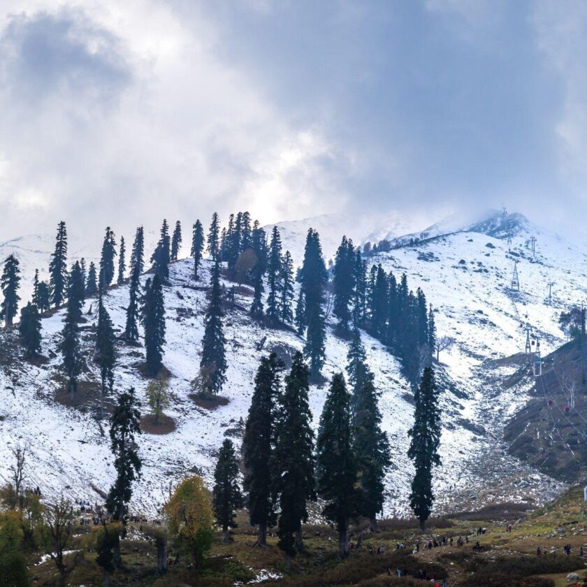 Kashmir Weather Shift: First Snowfall Hits Gulmarg, Gurez Amid Valley Rain