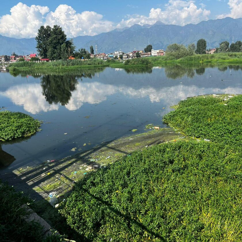 Brari Nambal Under Threat: NGT Findings Expose Srinagar's Wetland Crisis
