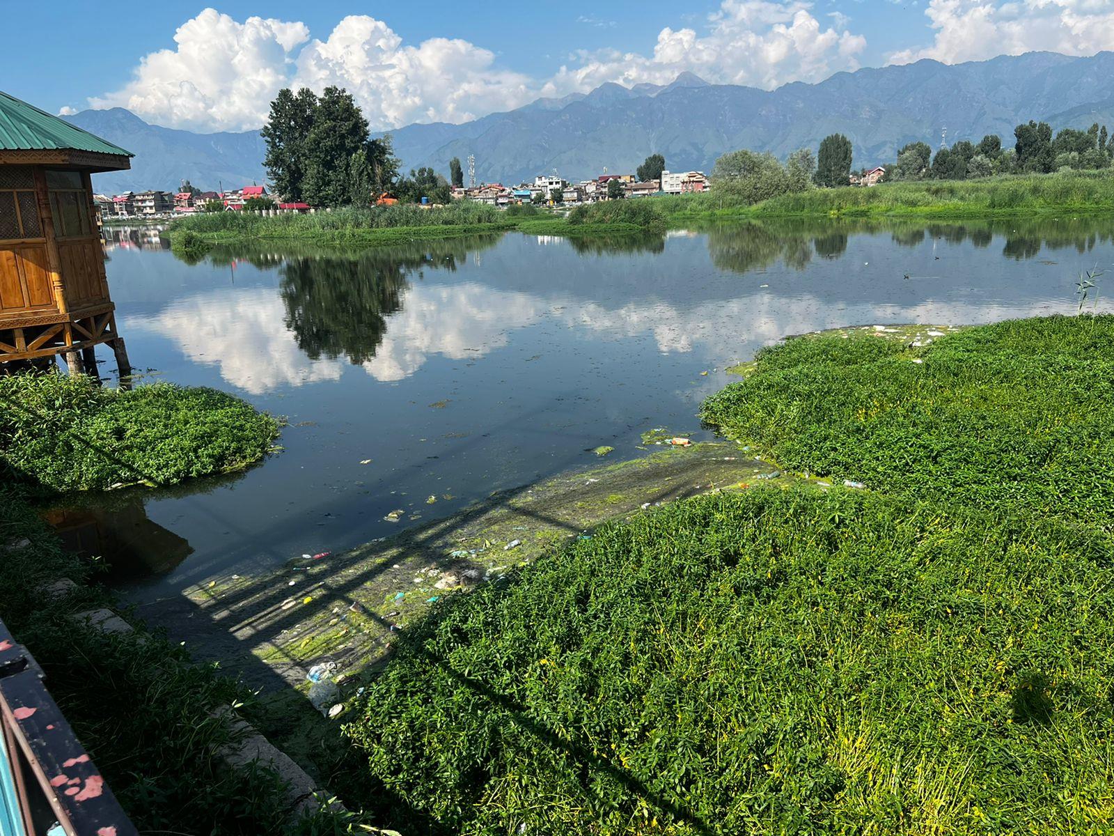 Brari Nambal Under Threat: NGT Findings Expose Srinagar's Wetland Crisis